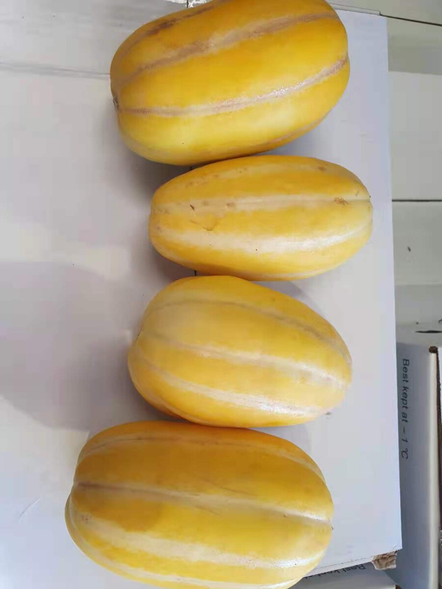 韩国香瓜 1kg - Justfresh